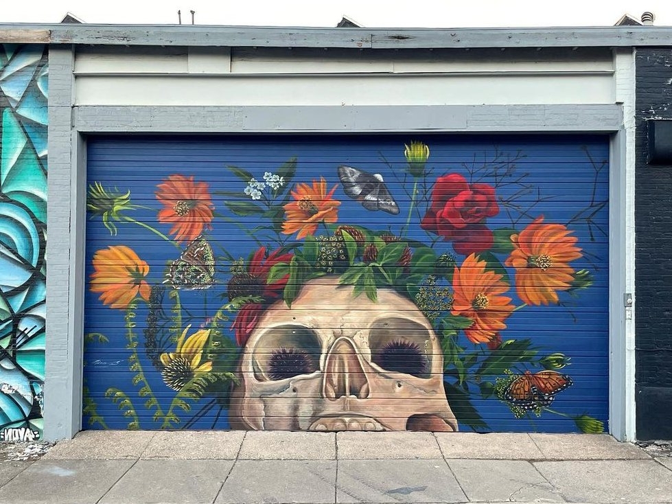 Nico Cathcart @ Rochester, New York, USA Nico Cathcart @ Rochester, New York, USA