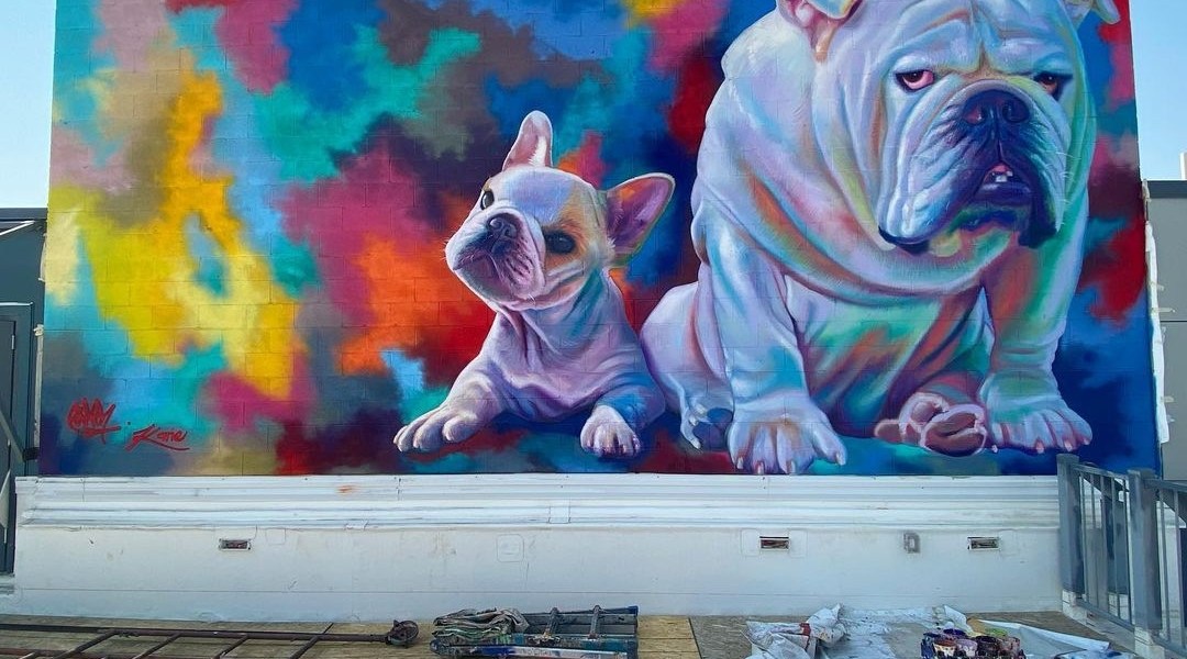 Patrick Kane McGregor + Stash @ Denver, USA