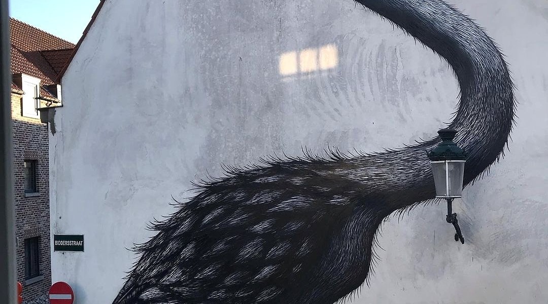 ROA @ Bruges, Belgium
