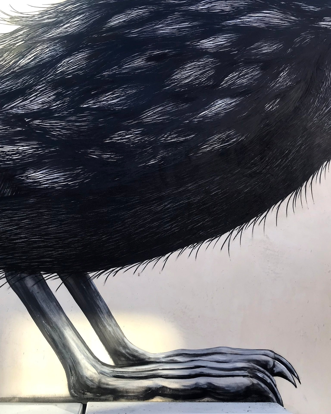 ROA @ Bruges, Belgium