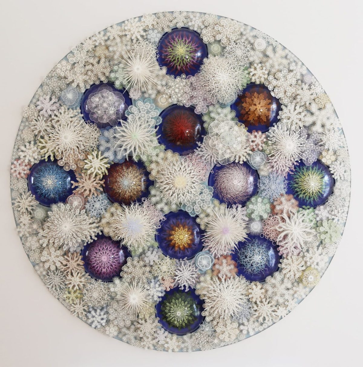 "Coral Garden" by Rogan Brown