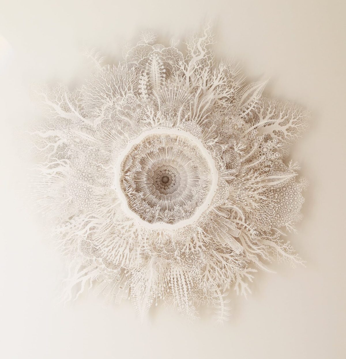 "Ghost Coral" by Rogan Brown