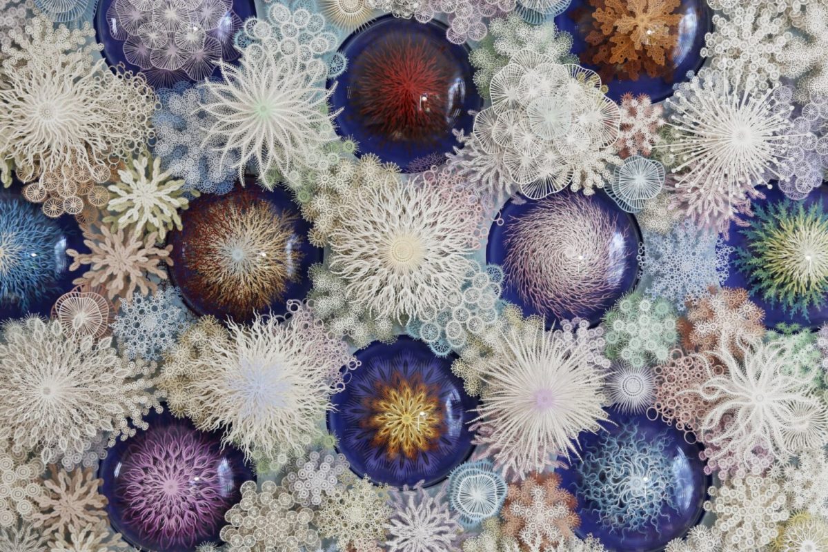 Detail of "Coral Garden" by Rogan Brown