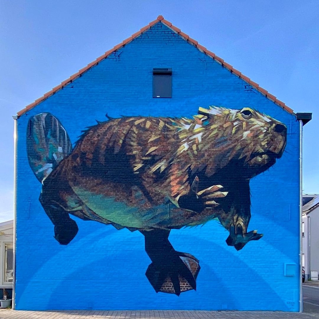 Tom Cech @ Leuven, Belgium