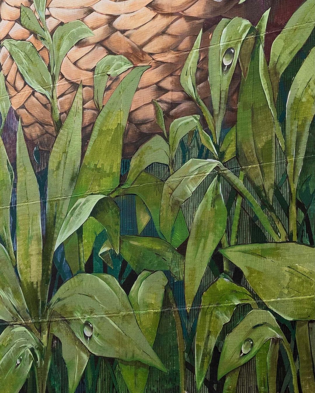 Versus Flow @ Kazan, Russia