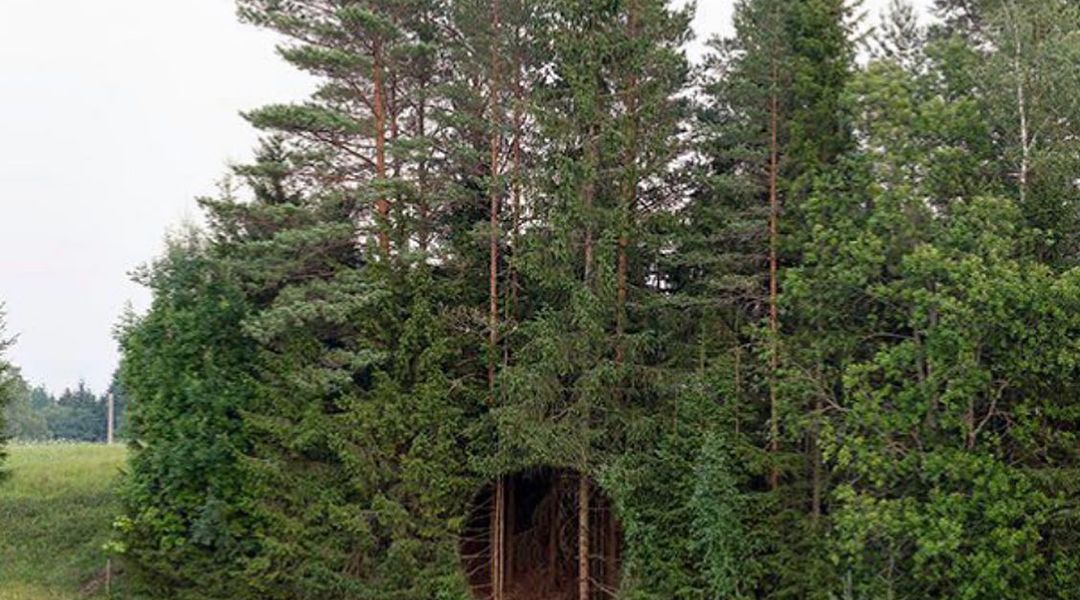 "Broken Landscape" (2021) by Antti Laitinen. L'artista concettuale finlandese mette in discussione il modo in cui percepiamo e comprendiamo il nostro paesaggio e la natura che ci circonda