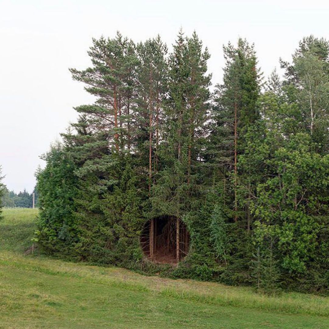 "Broken Landscape" (2021) by Antti Laitinen. L'artista concettuale finlandese mette in discussione il modo in cui percepiamo e comprendiamo il nostro paesaggio e la natura che ci circonda