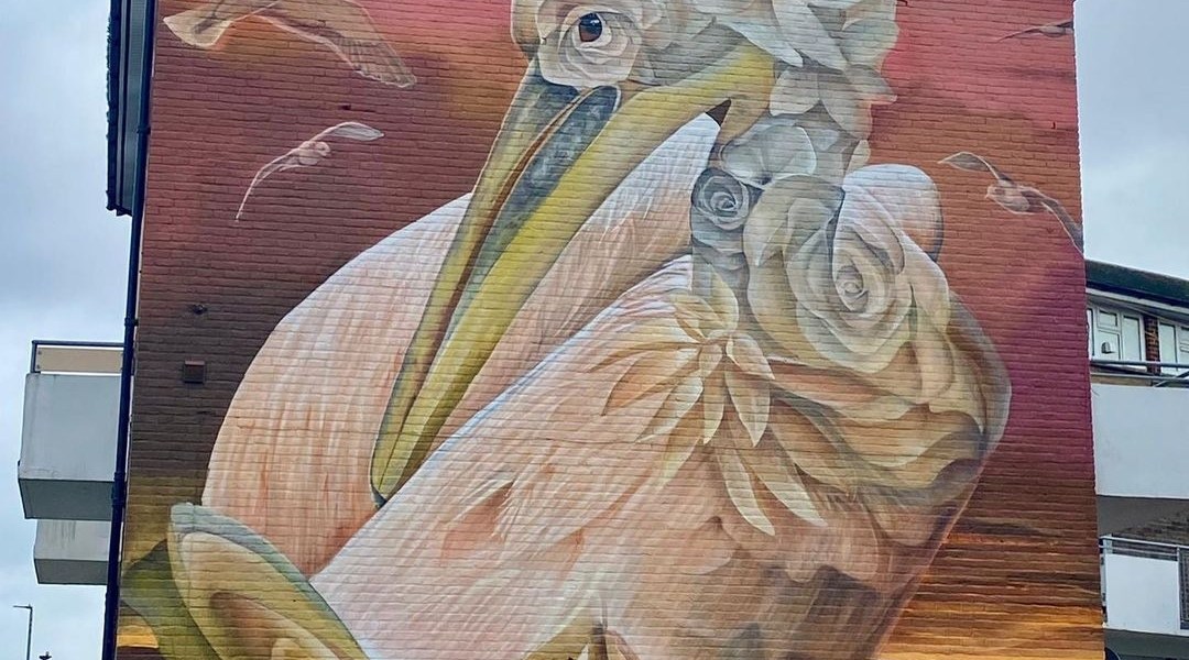 Curtis Hylton @ Portsmouth, UK