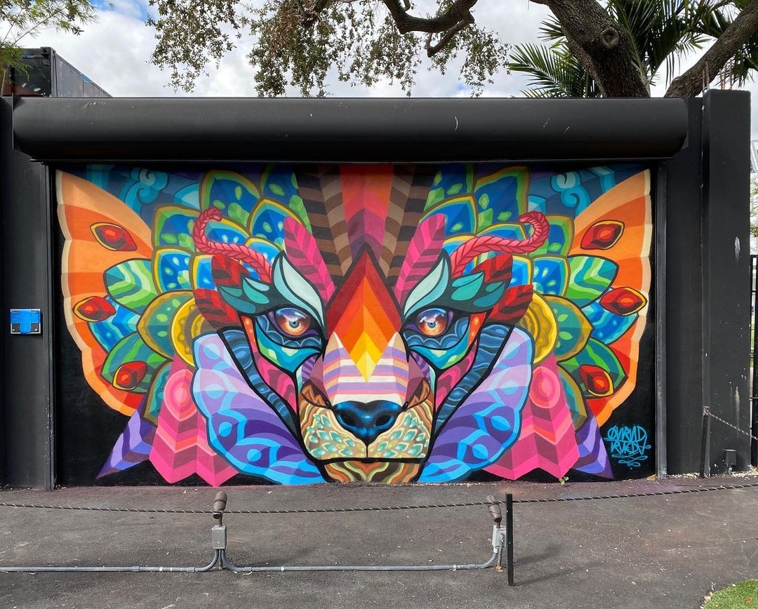 Farid Rueda @ Miami, Florida, USA Farid Rueda @ Miami, Florida, USA