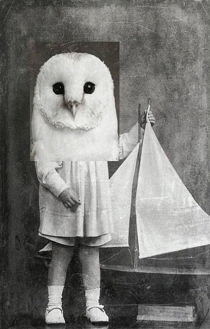 Digital collage by Julia Malkova