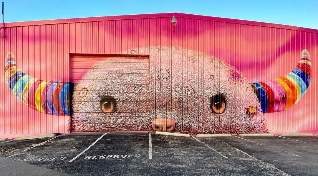 Lucas Aoki @ Austin, Texas, USA