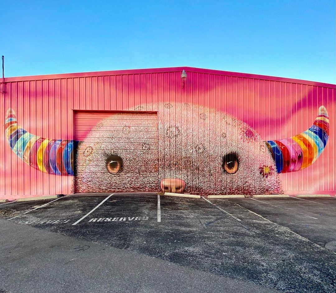 Lucas Aoki @ Austin, Texas, USA