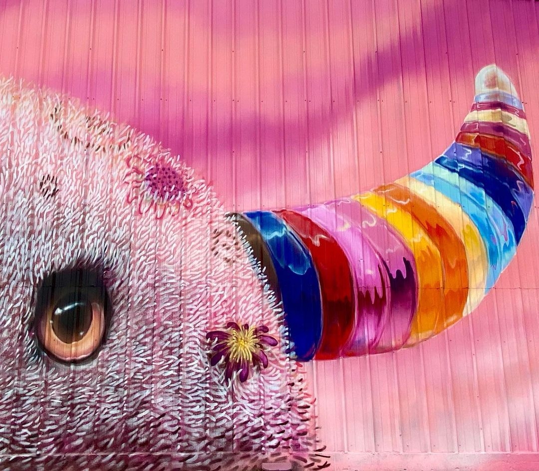 Lucas Aoki @ Austin, Texas, USA