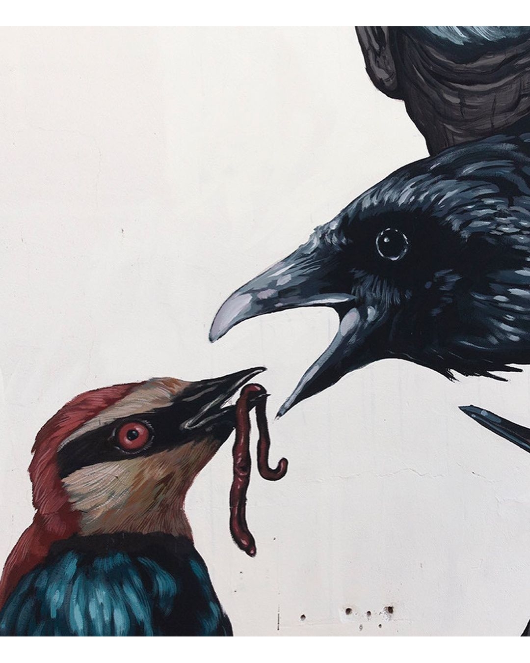 NemO's + Nicola Alessandrini @ San Martino in Pensilis, Italy