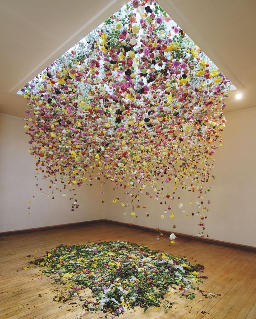 “The Hated Flower” by Rebecca Louise Law