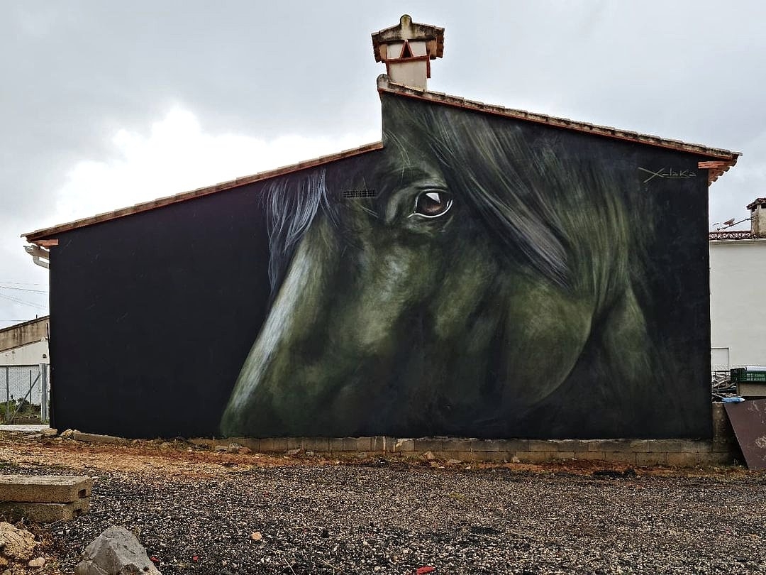 Xolaka @ Benichembla, Spain