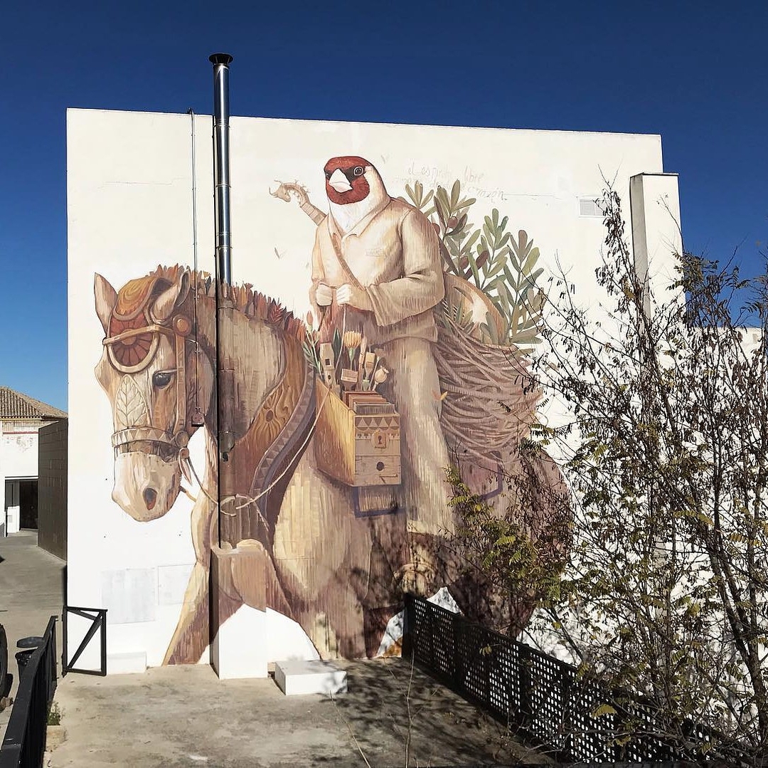 Alegria del Prado @ Baena, Spain