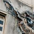 Bordalo II @ Coimbra, Portugal