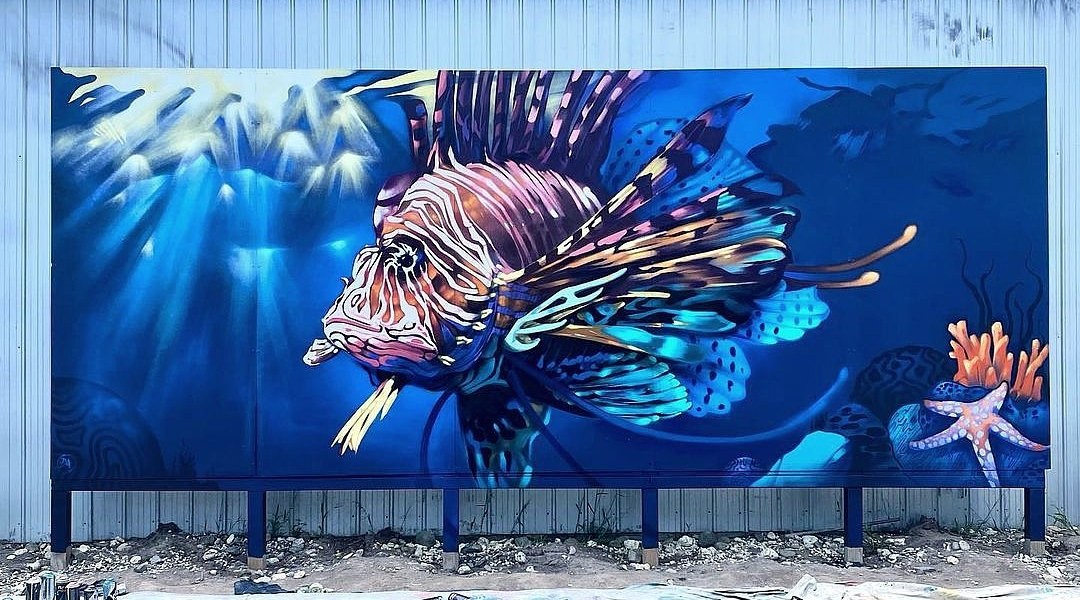 Damien Arena @ Melbourne, Australia