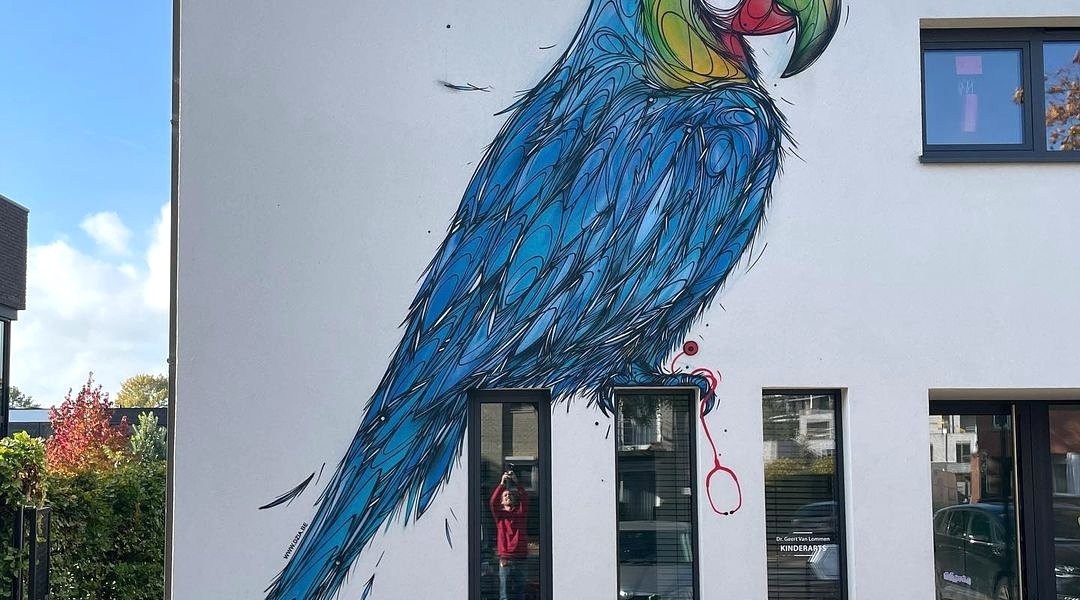 Dzia @ Nekkerspoel, Belgium