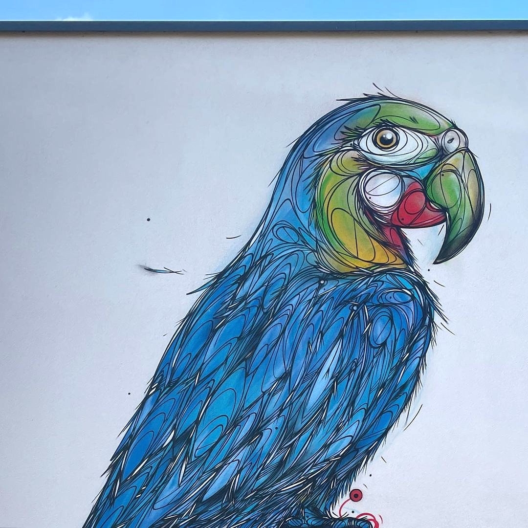 Dzia @ Nekkerspoel, Belgium