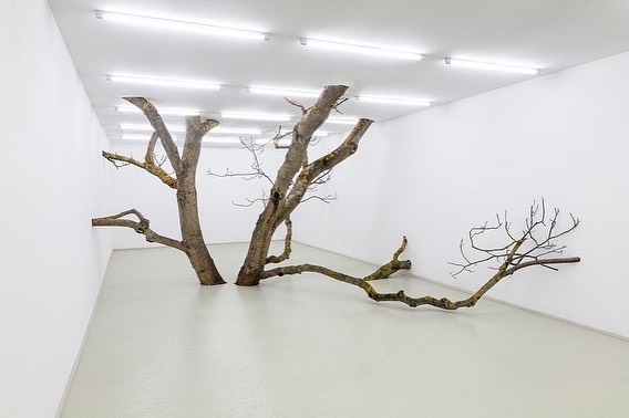 "Isolation" (2021) by Fabian Knecht