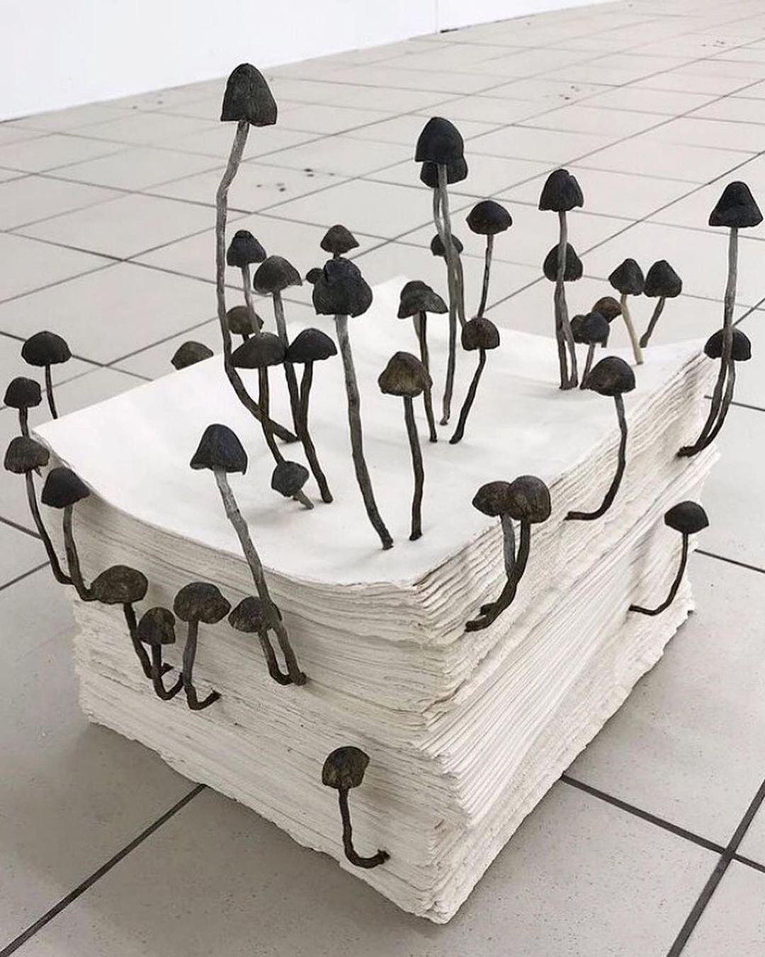 "Paper and fungi sculpture" by Hamish Pearch