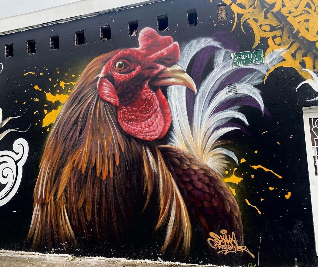 Jotados @ Bogota, Colombia Jotados @ Bogota, Colombia