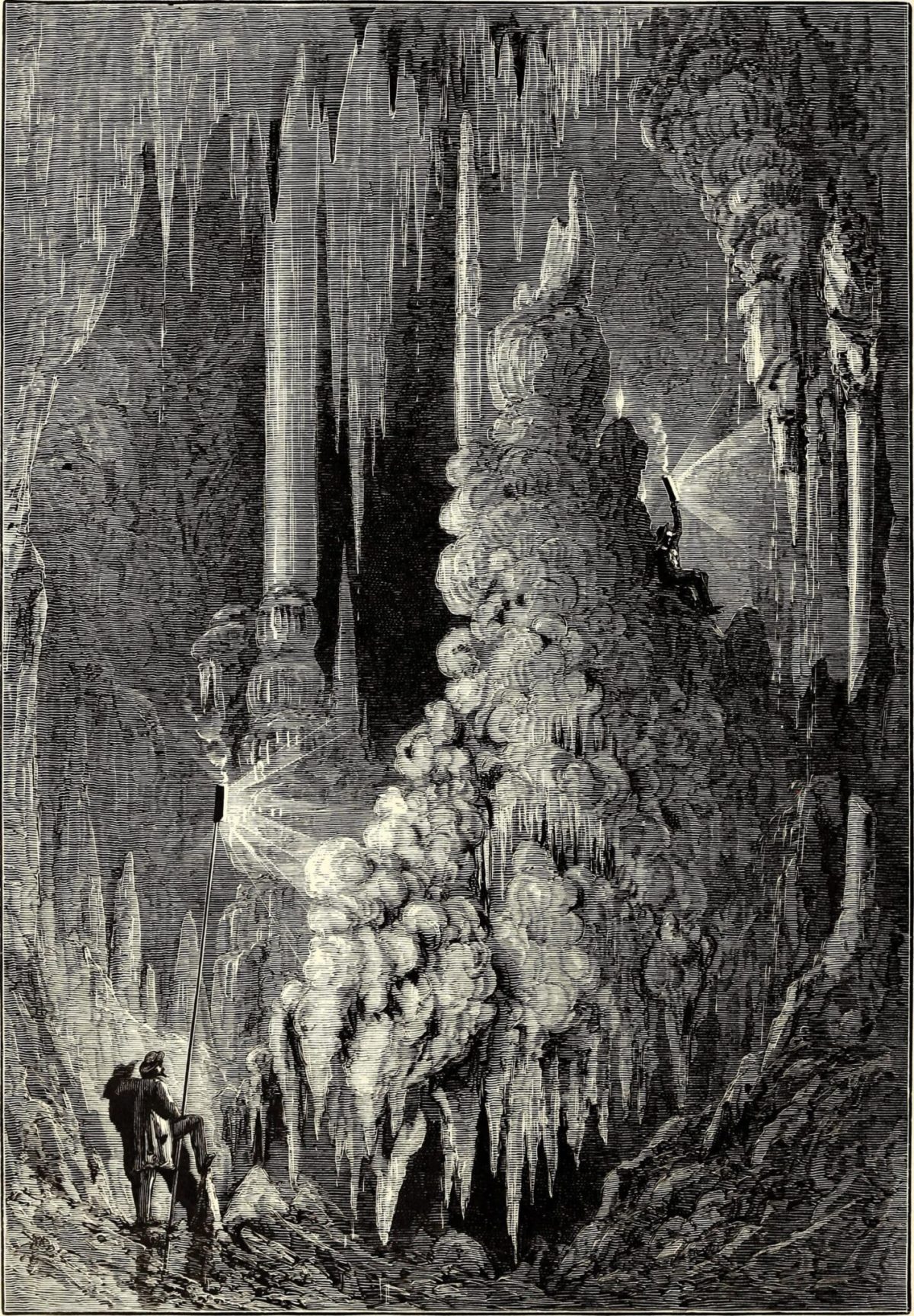 Oliver B. Bunce e William C. Cullen, Pittoresca America, 1872. New York: D. Appleton. Tutte le immagini di Wild Design: Nature's Architects di Kimberly Ridley, pubblicate da Princeton Architectural Press