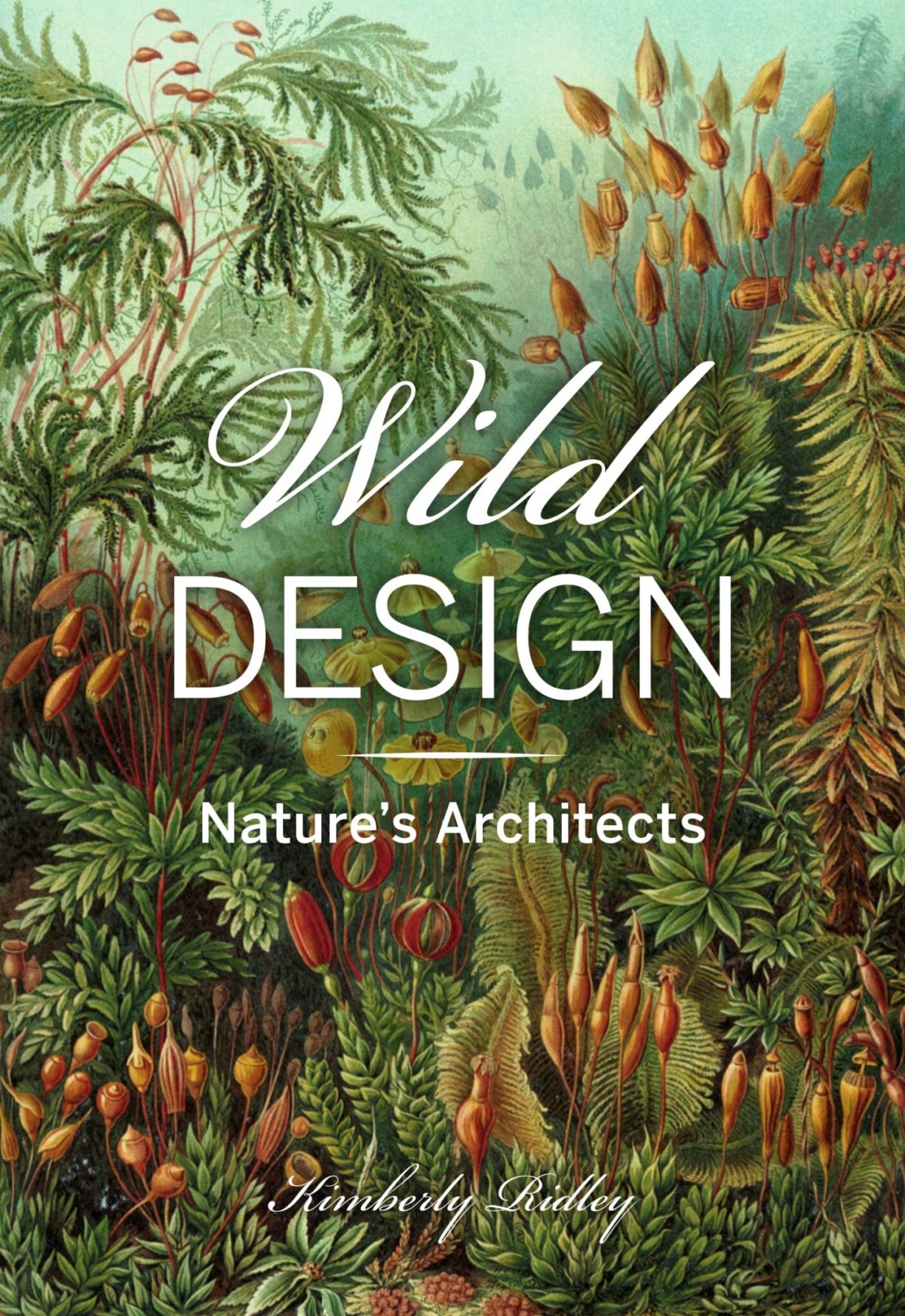 Tutte le immagini di Wild Design: Nature's Architects di Kimberly Ridley, pubblicate da Princeton Architectural Press