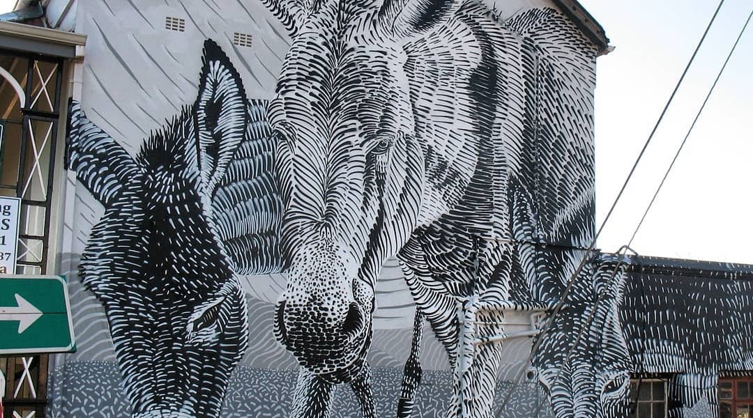 Mook Lion @ Makhanda, South Africa