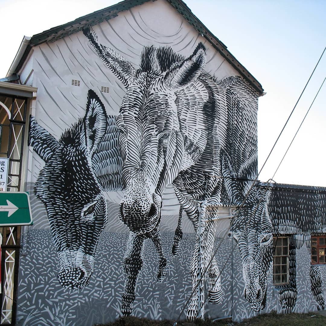 Mook Lion @ Makhanda, South Africa