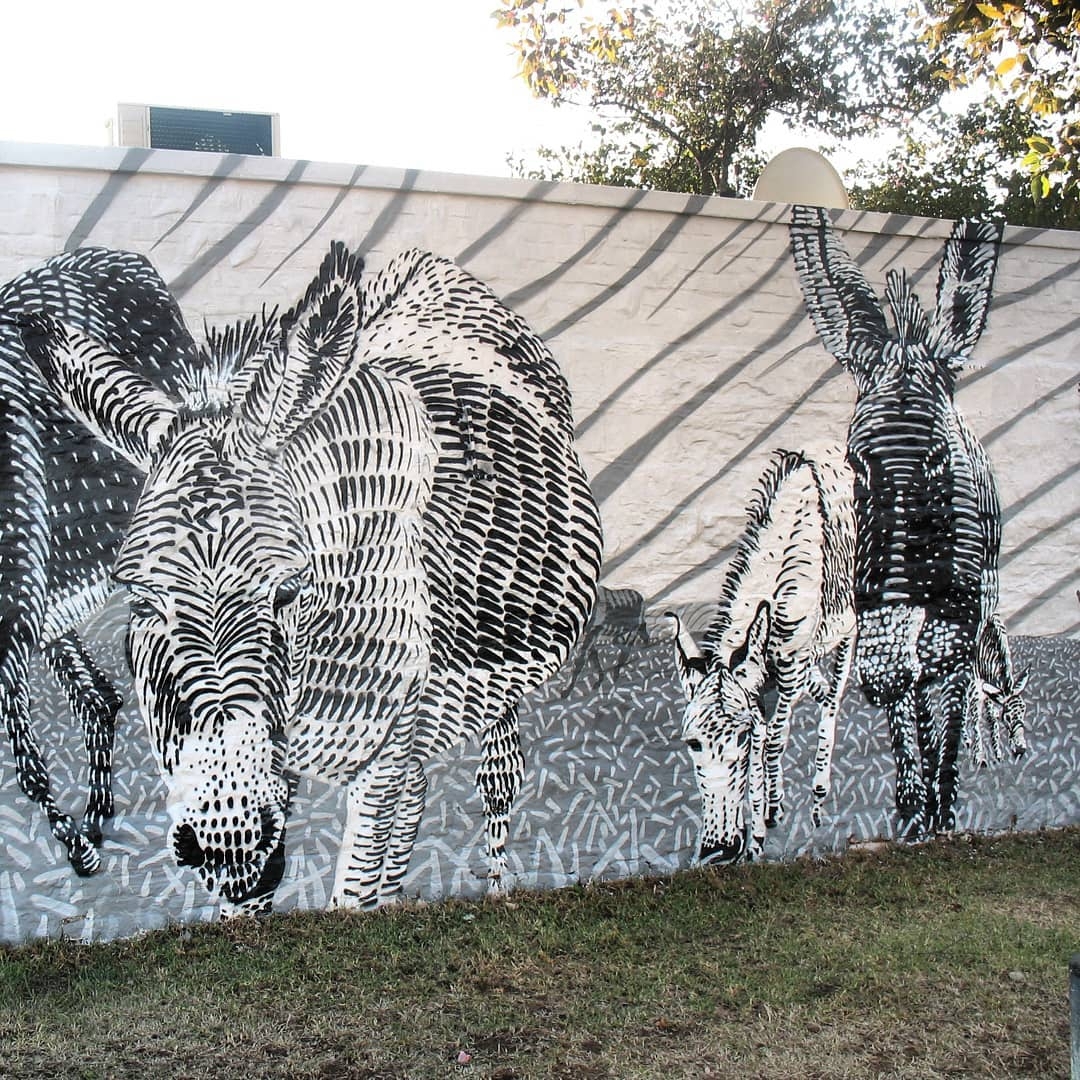 Mook Lion @ Makhanda, South Africa