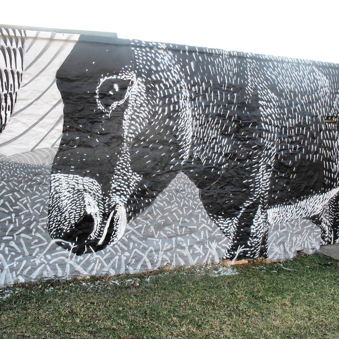 Mook Lion @ Makhanda, South Africa