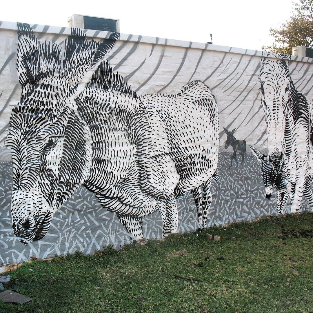 Mook Lion @ Makhanda, South Africa