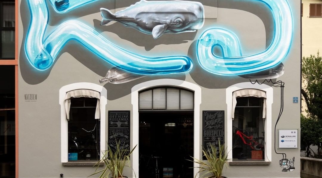 Nevercrew @ Locarno, Switzerland