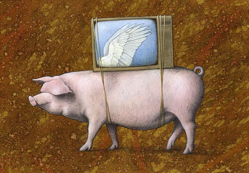 Pawel Kuczynski