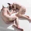 Sam Jinks