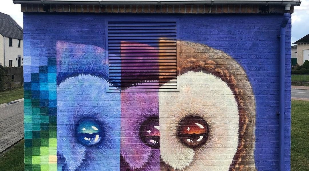 Xuas @ Gavere, Belgium