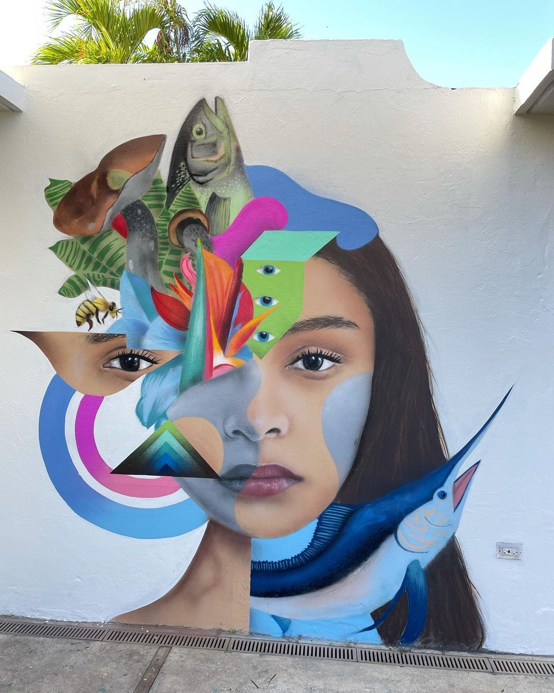 Carson DeYoung @ Guaynabo, Puerto Rico Carson DeYoung @ Guaynabo, Puerto Rico