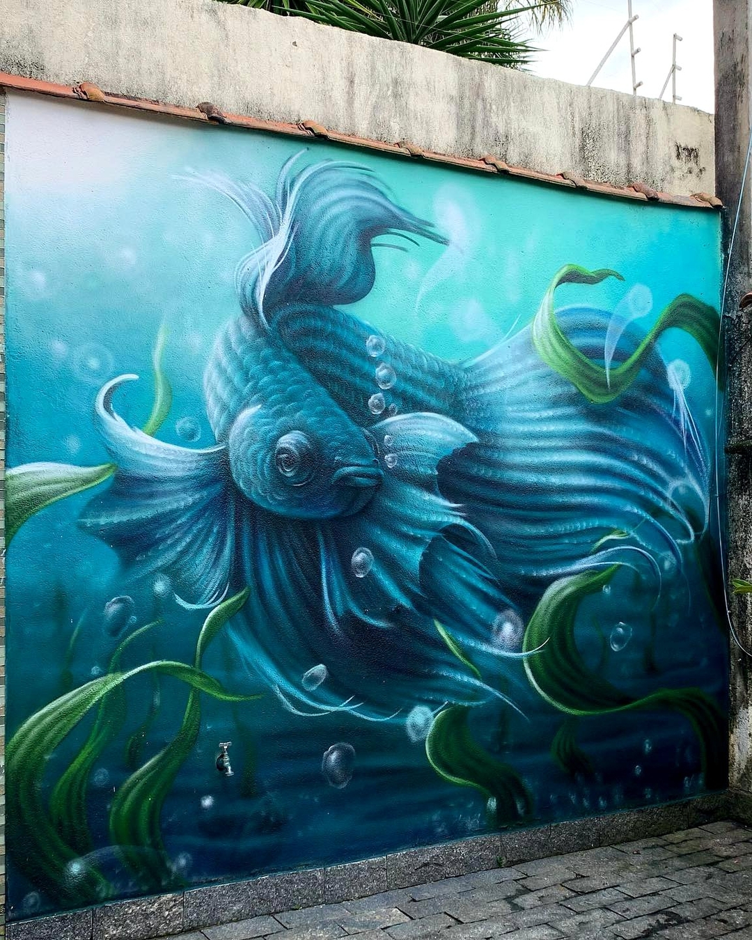 Clara Leff @ Caraguatatuba, Brazil Clara Leff @ Caraguatatuba, Brazil