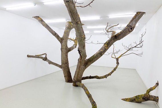 "Isolation" (2021) by Fabian Knecht