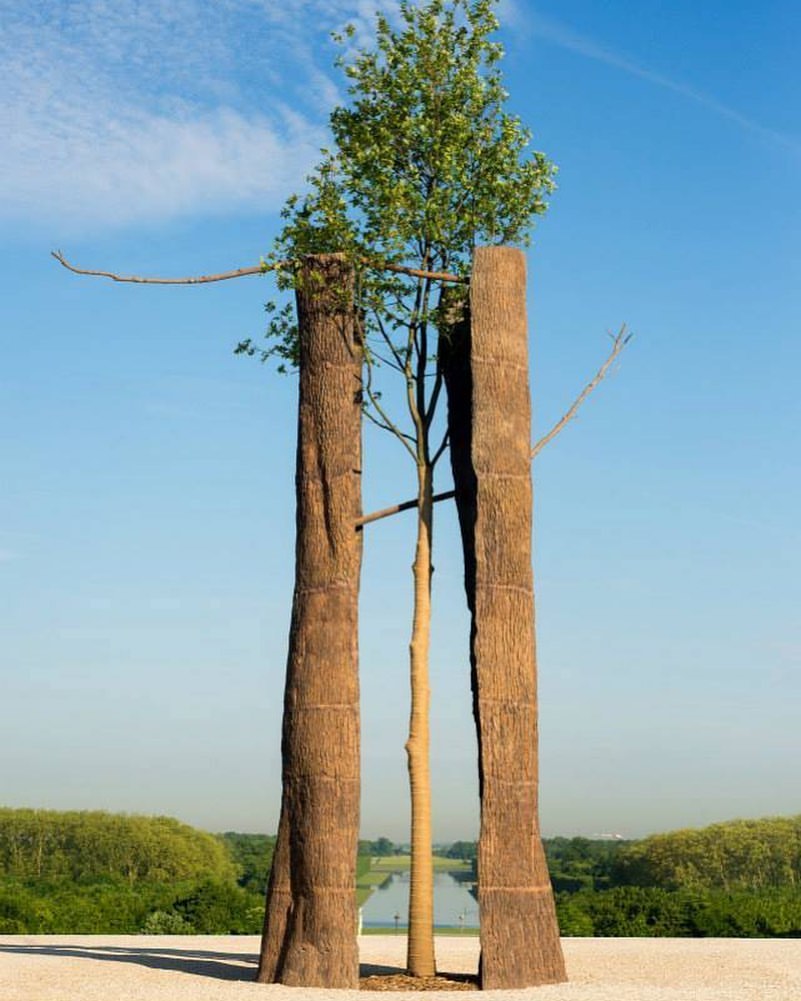 "Tra scorza e scorza" by Giuseppe Penone "Tra scorza e scorza" by Giuseppe Penone