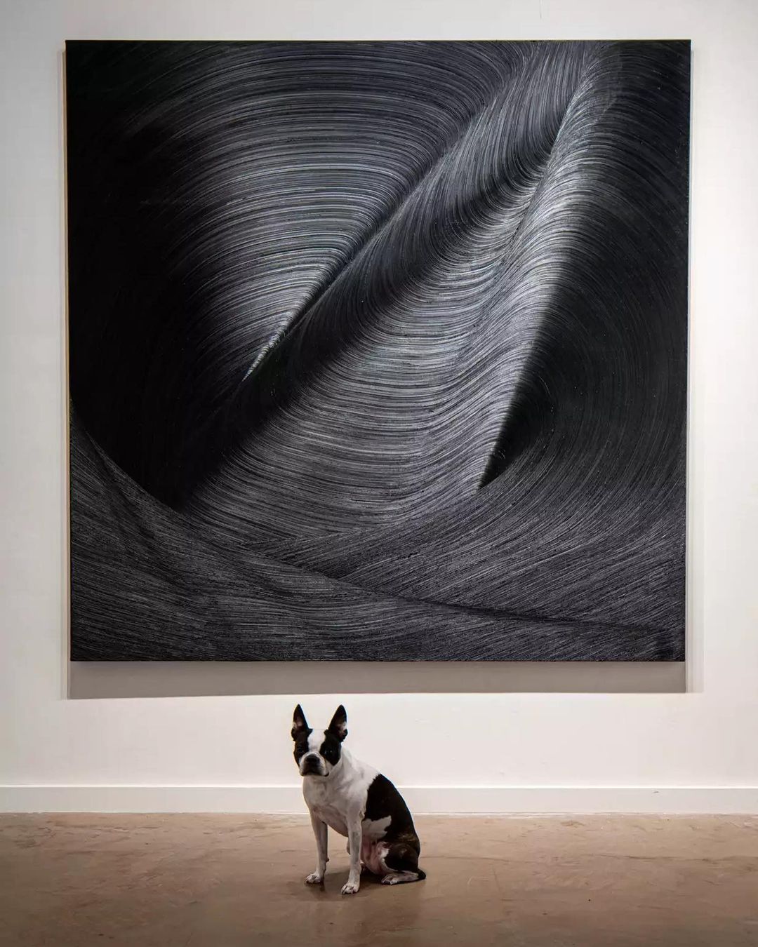 "Sleepless Candy" by James Austin Murray