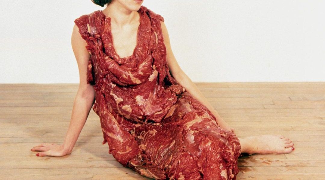 "Vanitas: Flesh Dress for an Albino Anorectic" by Jana Sterbak