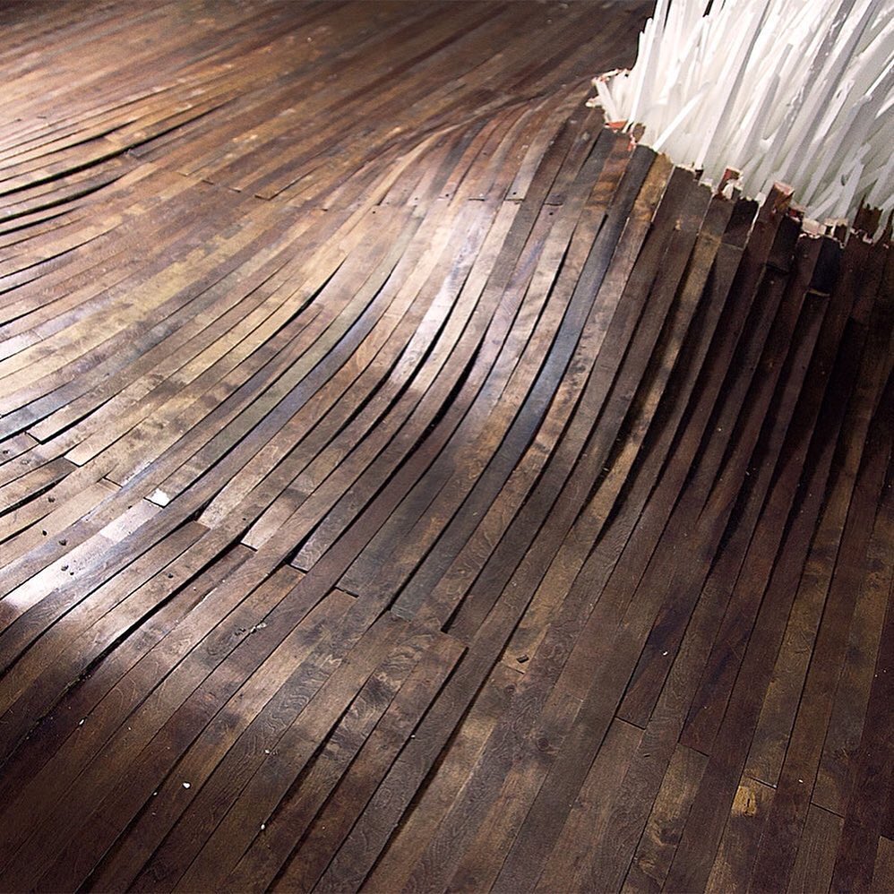 "Points of Contention" by Jonathan Latiano