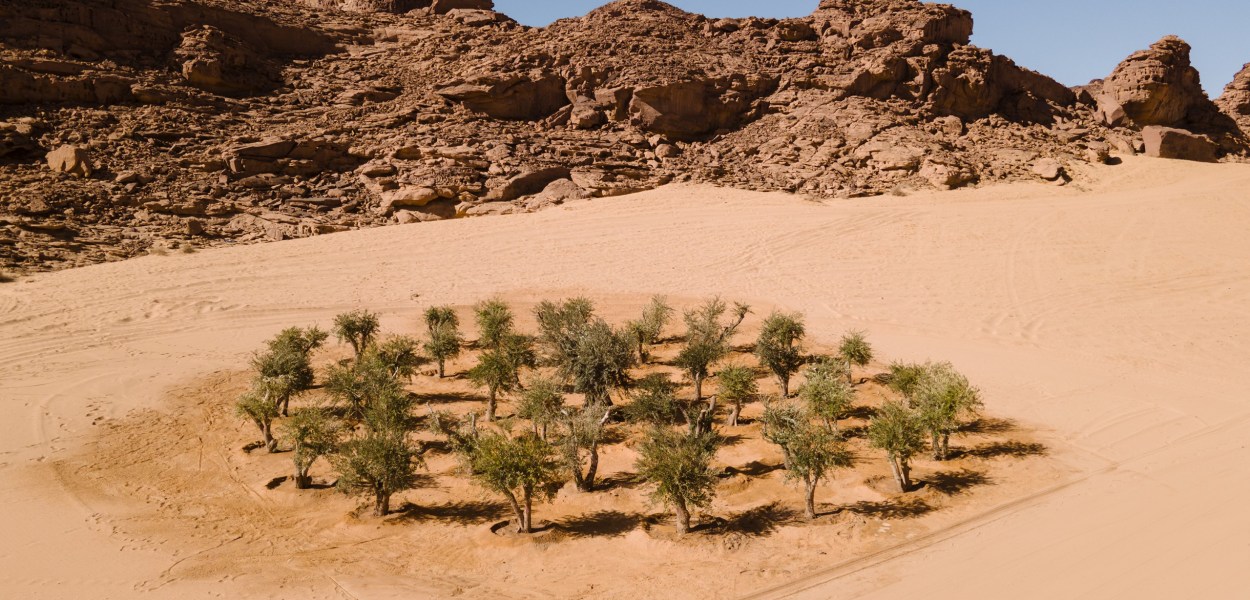 "Grounding" by Khalil Rabah