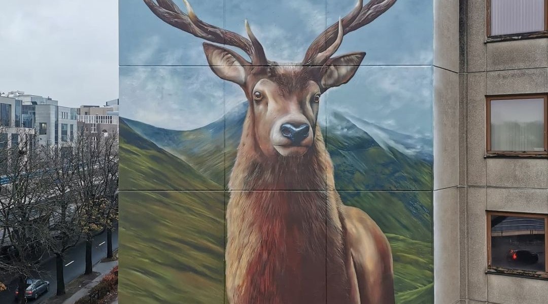 Koen Deweerdt + Suarez Murals @ Brussels, Belgium