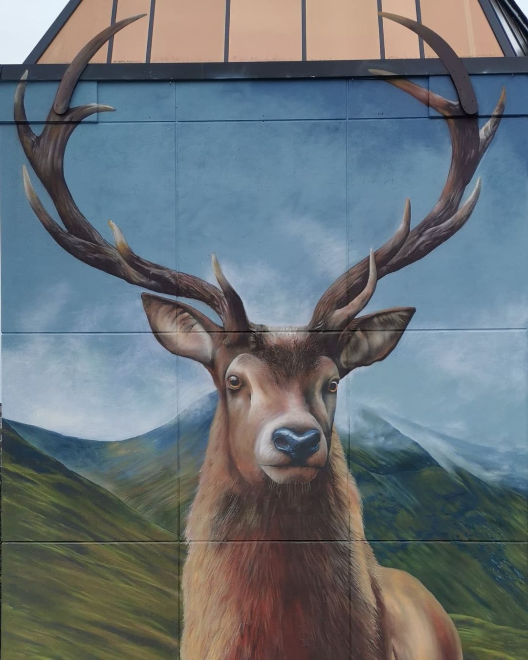 Koen Deweerdt + Suarez Murals @ Brussels, Belgium