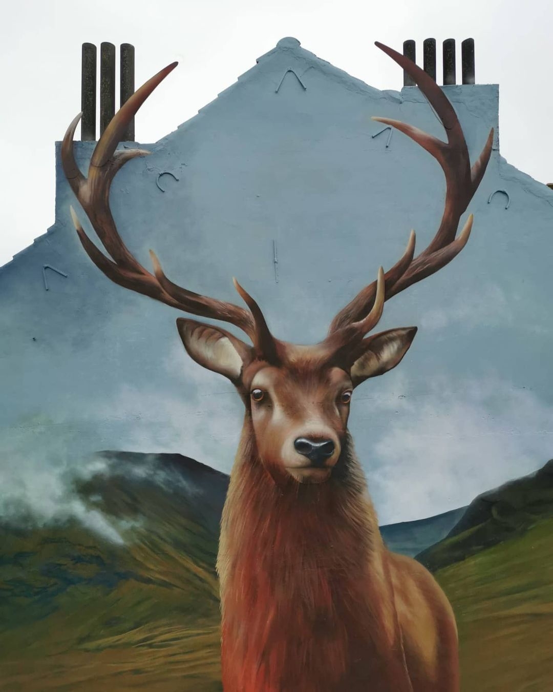 Koen Deweerdt + Suarez Murals @ Brussels, Belgium